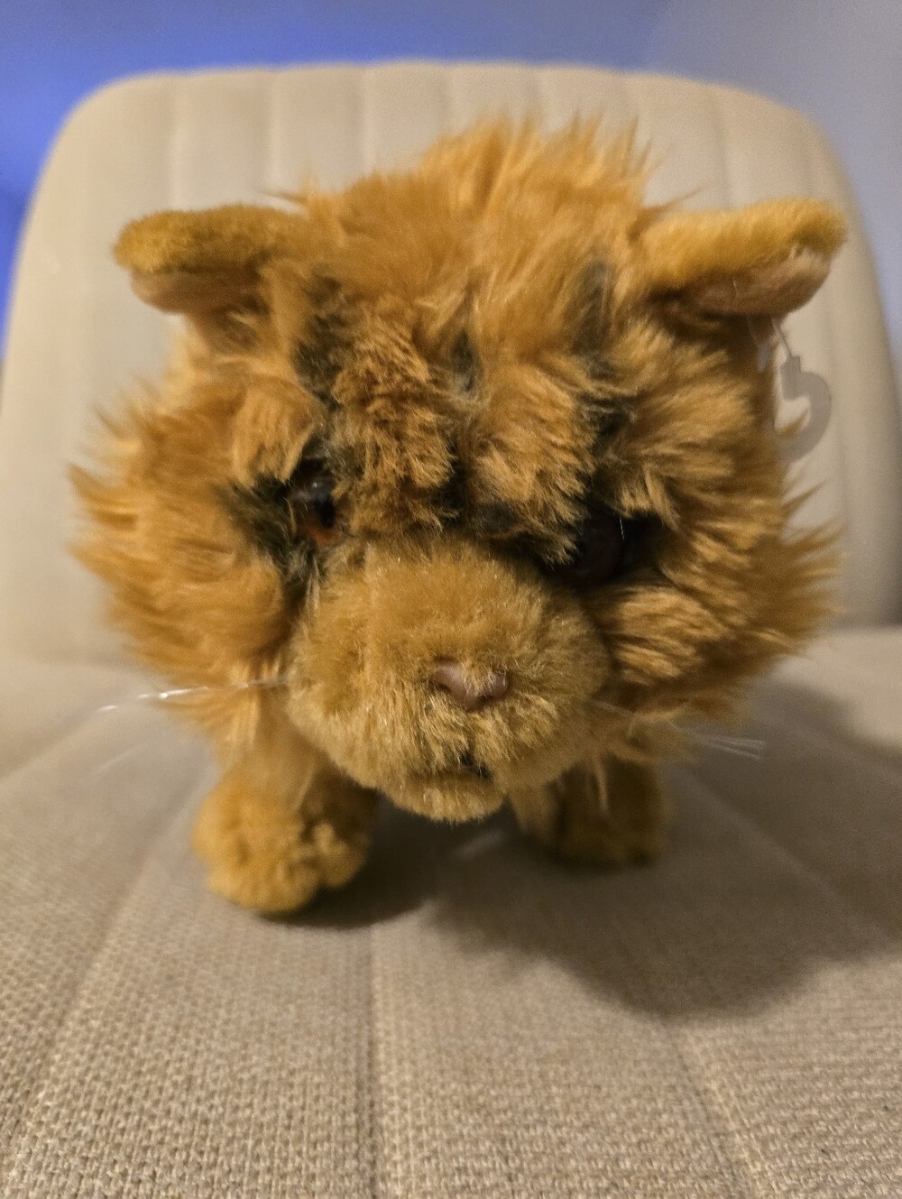 Harry Potter Crookshanks Plush Wizarding World Universal Orlando Hermione's Cat